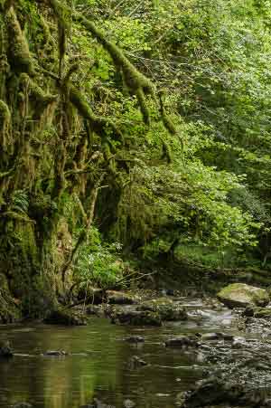 La petite amazonie des pyrénées